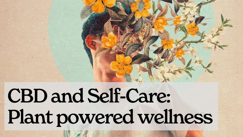 CBD and Self-Care: Plant Powered Wellness