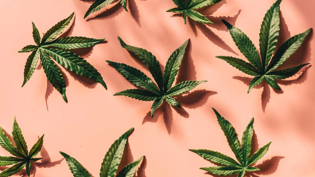 CBD for Valentines Day: Most Loved Gift Guide