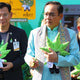 Thai-PM-Inhales-Cannabis-Oil-at-Event-with-Giant-Ganja-Dolls National Hemp Service