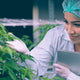 UK-Grown-Cannabis-Made-Available-To-UK-Patients-For-The-First-Time National Hemp Service