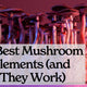 The-Best-Mushroom-Supplements-and-How-They-Work National Hemp Service