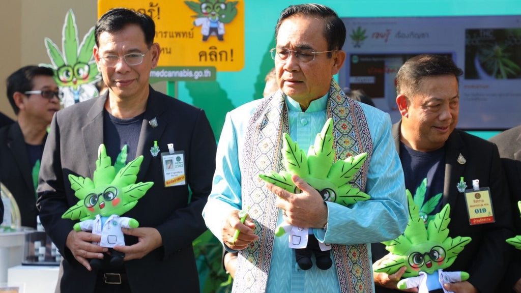 Thai PM Inhales Cannabis Oil at Event with Giant Ganja Dolls