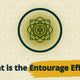 blog banner for article on the entrouage effect