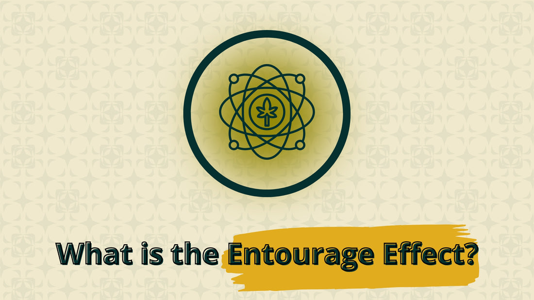 blog banner for article on the entrouage effect