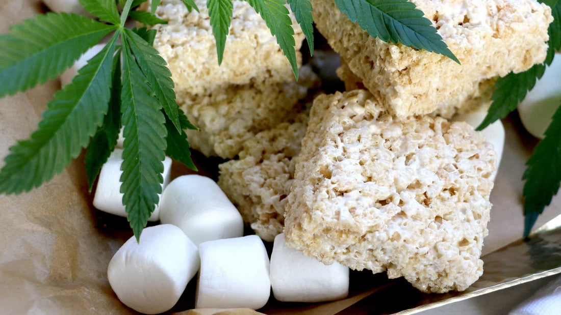 Munchies-CBD-Krispie-Squares-Recipe National Hemp Service