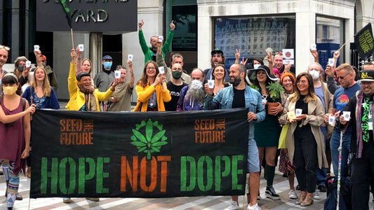 Nationwide-Hemp-Protests-Plant-Seeds-of-Rebellion National Hemp Service